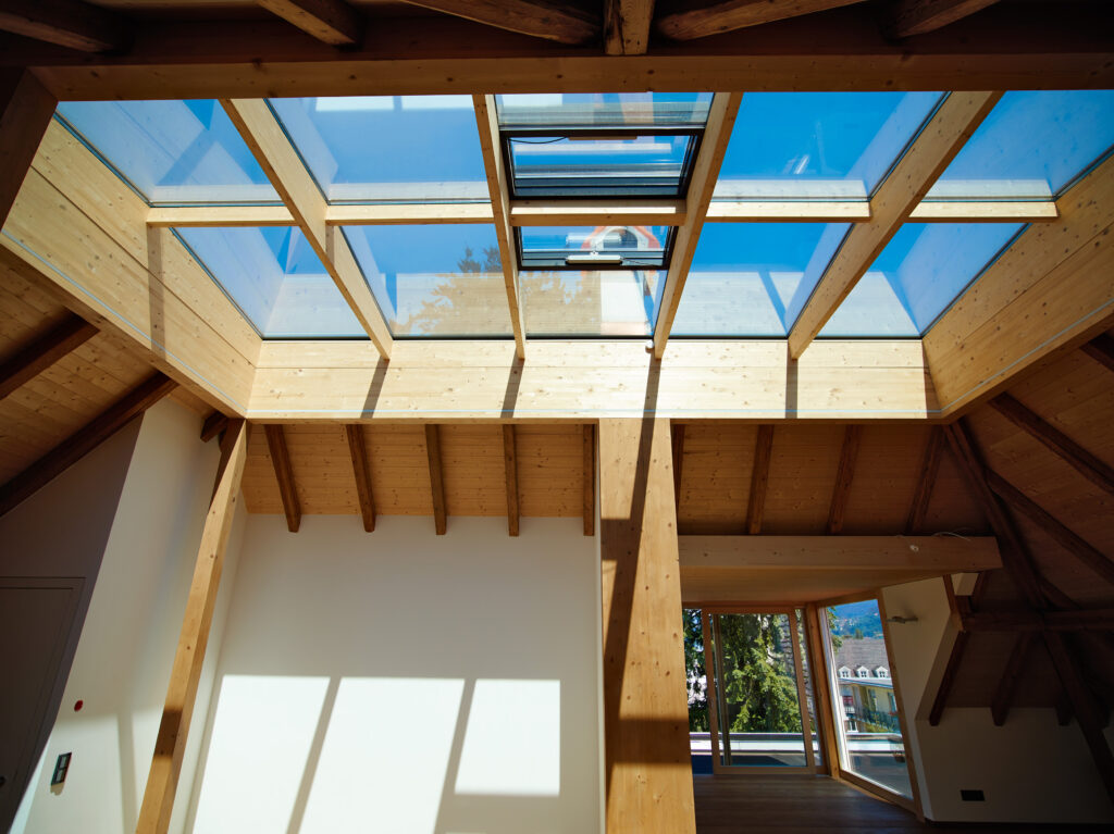 Dachvergl_Fruehlingstr_003